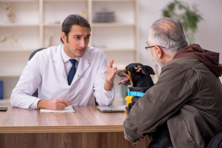 Examens complémentaires et assurance santé animale