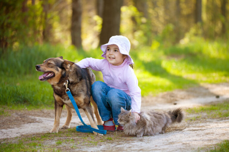 Chiens, chats et bébés : moins d&rsquo;allergies qu&rsquo;on ne le pense