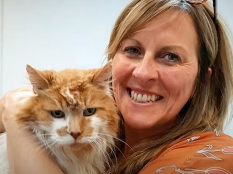 Jusqu’à quel âge vivent les chats ?