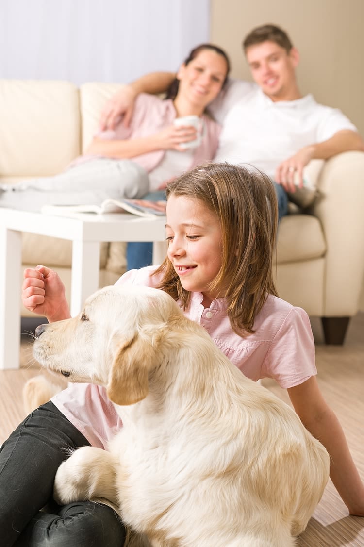 Vermifuge pour chien : un traitement à privilégier