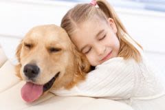 Peau du chien et chat: une barrière protectrice à surveiller