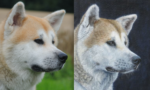 Artistoon : faites « croquer » vos chiens, chats et NAC !