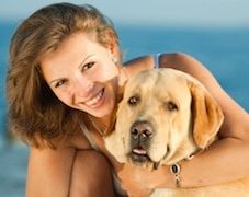 Leishmaniose : protéger son chien