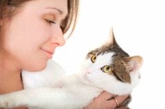 Caresser son chat : cela le stresse !