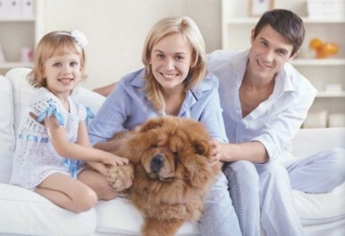 Parasites chien et chat : des intrus bien installés
