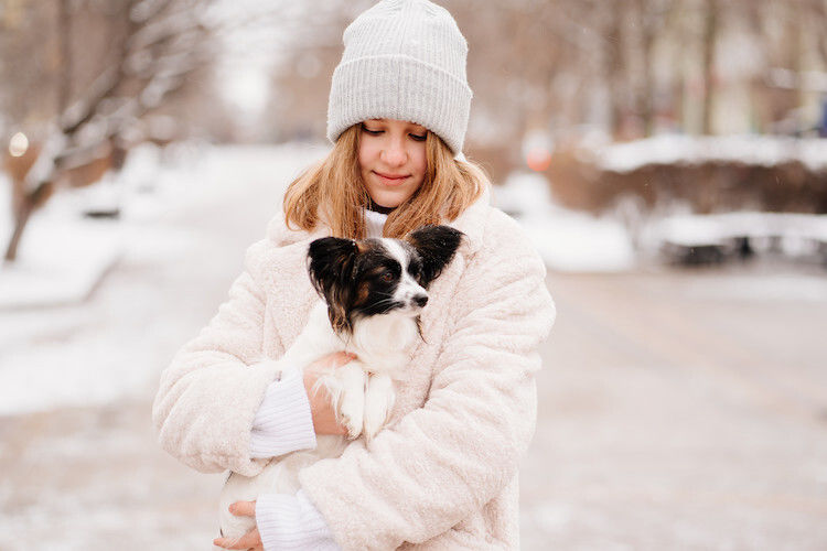 Rhume et coup de froid chez le chien : prévention et soins