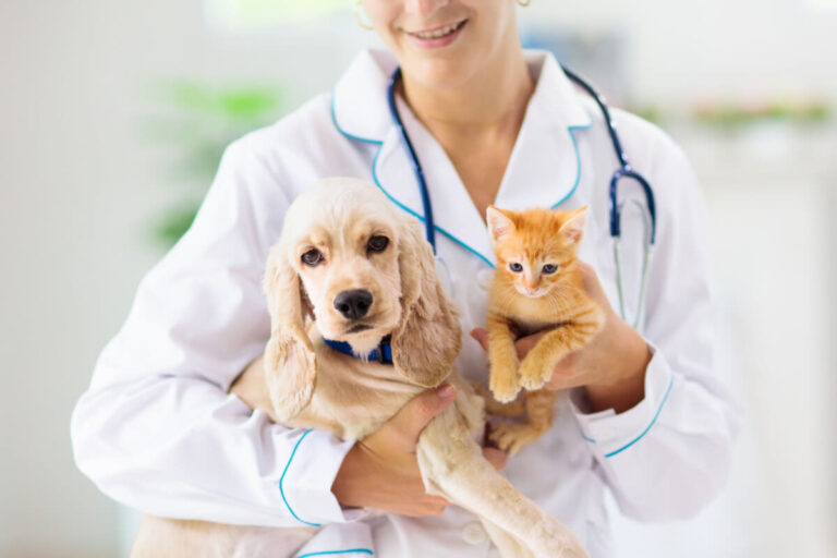 Chien et chat : sa première visite chez le vétérinaire