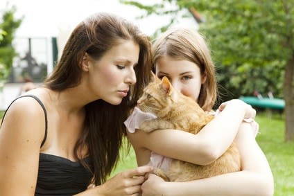 Adopter un chat âgé : procédez en douceur