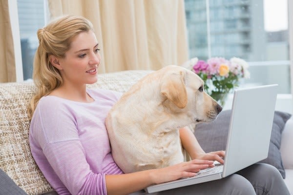Une foire aux questions pour tout savoir sur l&rsquo;assurance