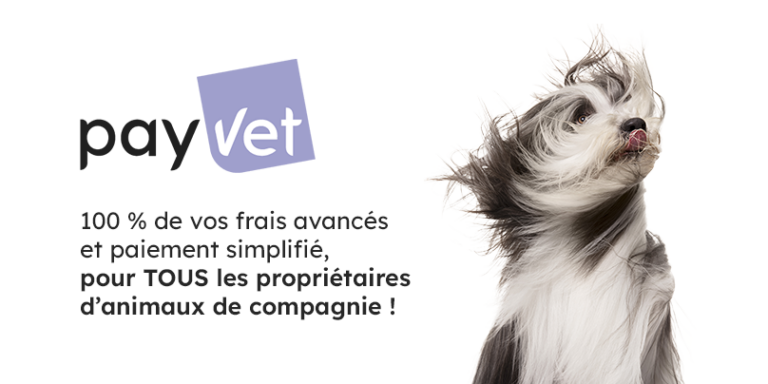 Met Payvet hoeft u geen dierenartskosten meer vooruit te betalen – Santévet