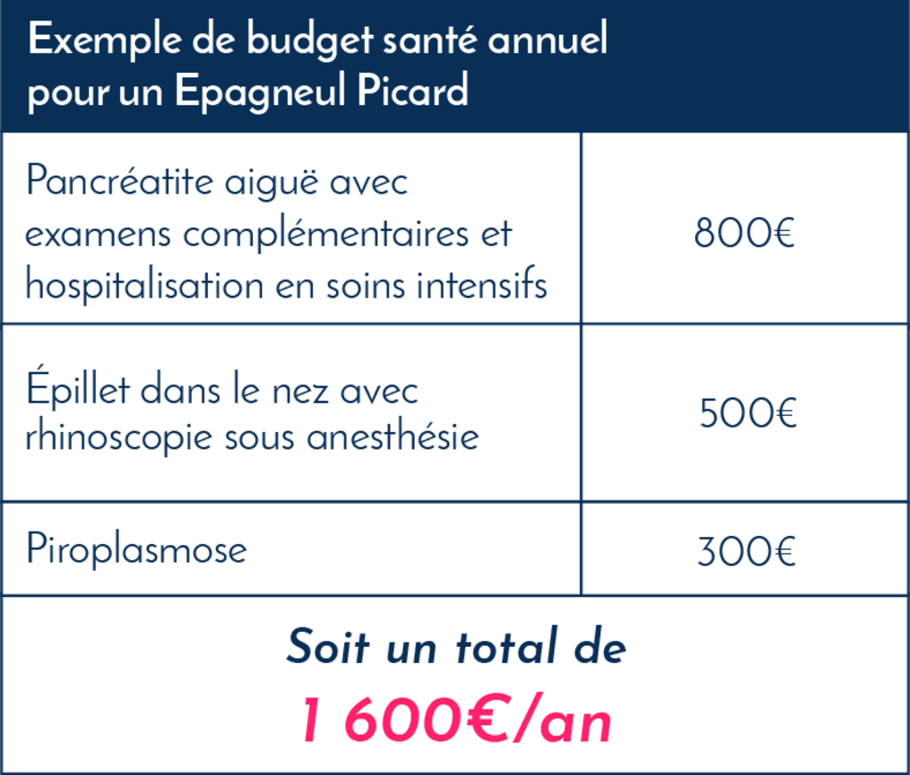 Epagneul_picard_exemples_frais_vétérinaires