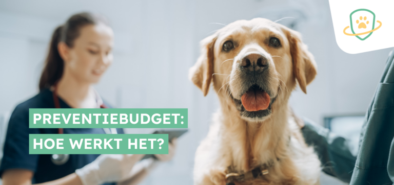 Alles weten over mijn preventiebudget