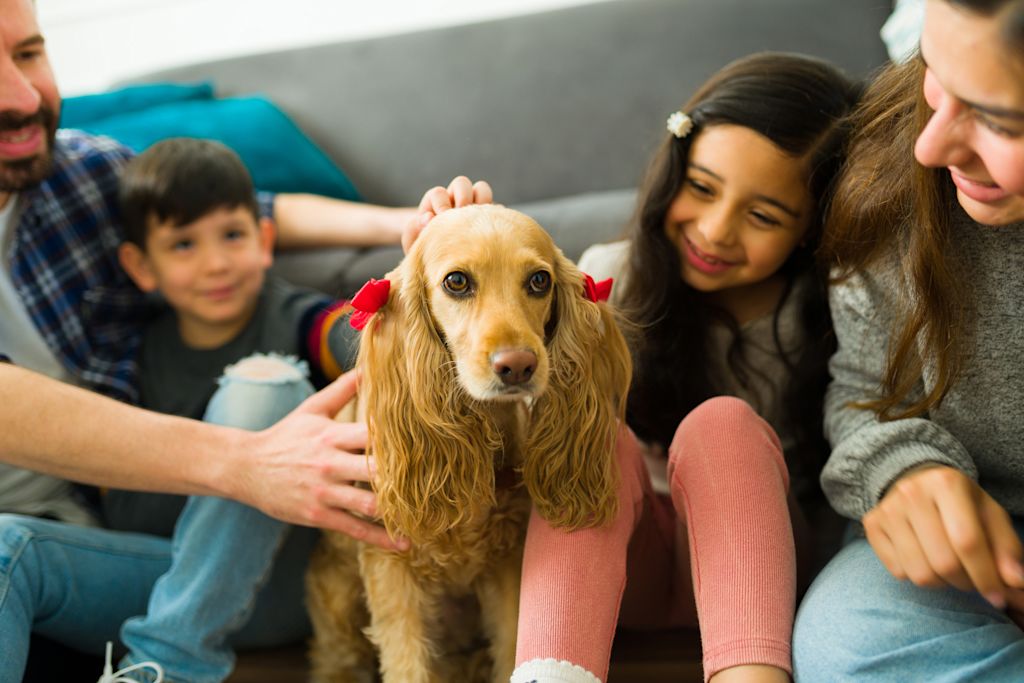 taxe chien et famille