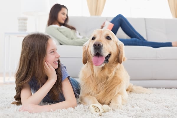 Chiens et chats : la prévention, c’est assurer leur santé