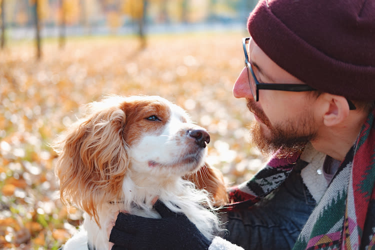 Vanaf welke temperatuur heeft een hond het koud?
