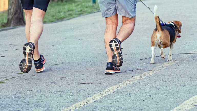 Comment bien courir avec son chien