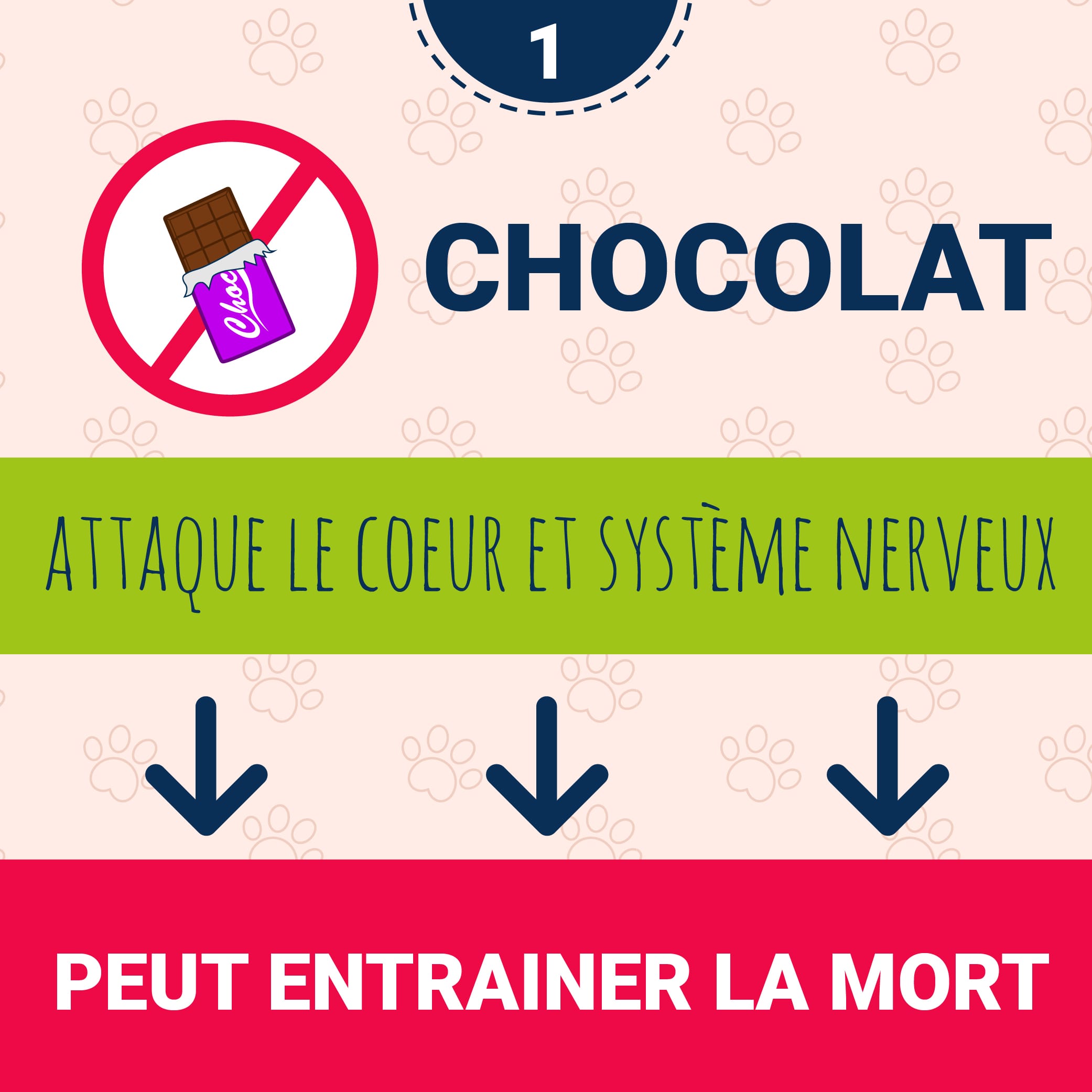 le chocolat est toxique pour mon chien