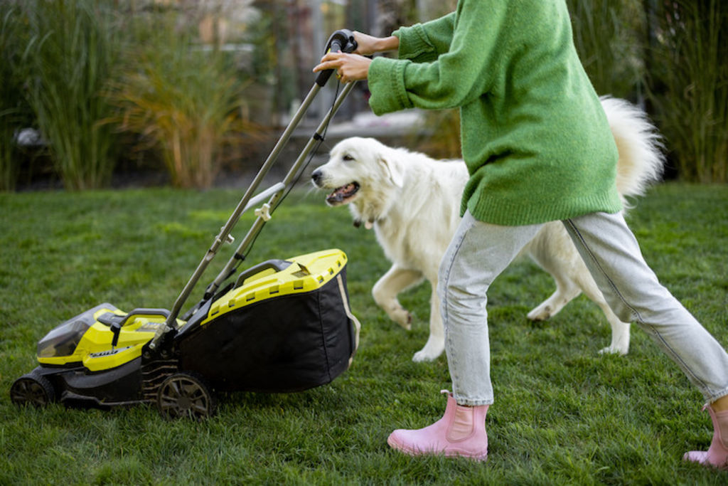 gazon jardin epillet