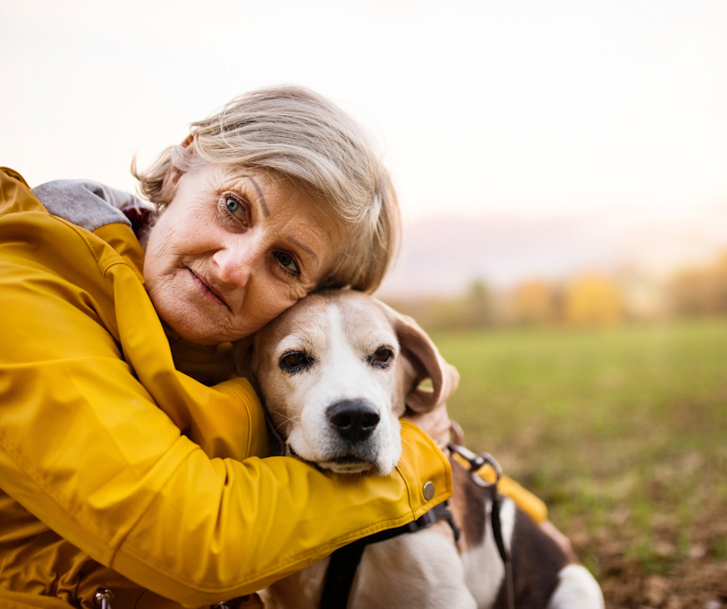 vacciner un vieux chien