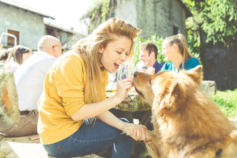 Dilatation torsion d’estomac : une urgence chez le chien
