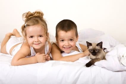 Parasites chez le chat et le chien : protéger la santé des animaux mais aussi celle de leur entourage