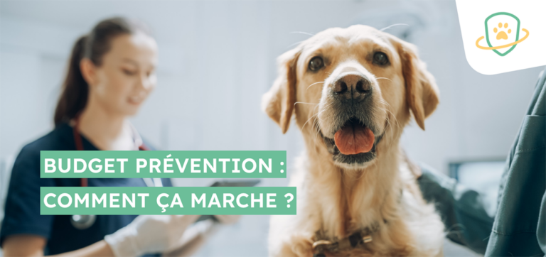 Tout comprendre sur mon Budget Prévention