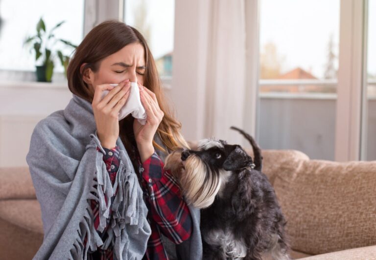 L&rsquo;allergie au chien