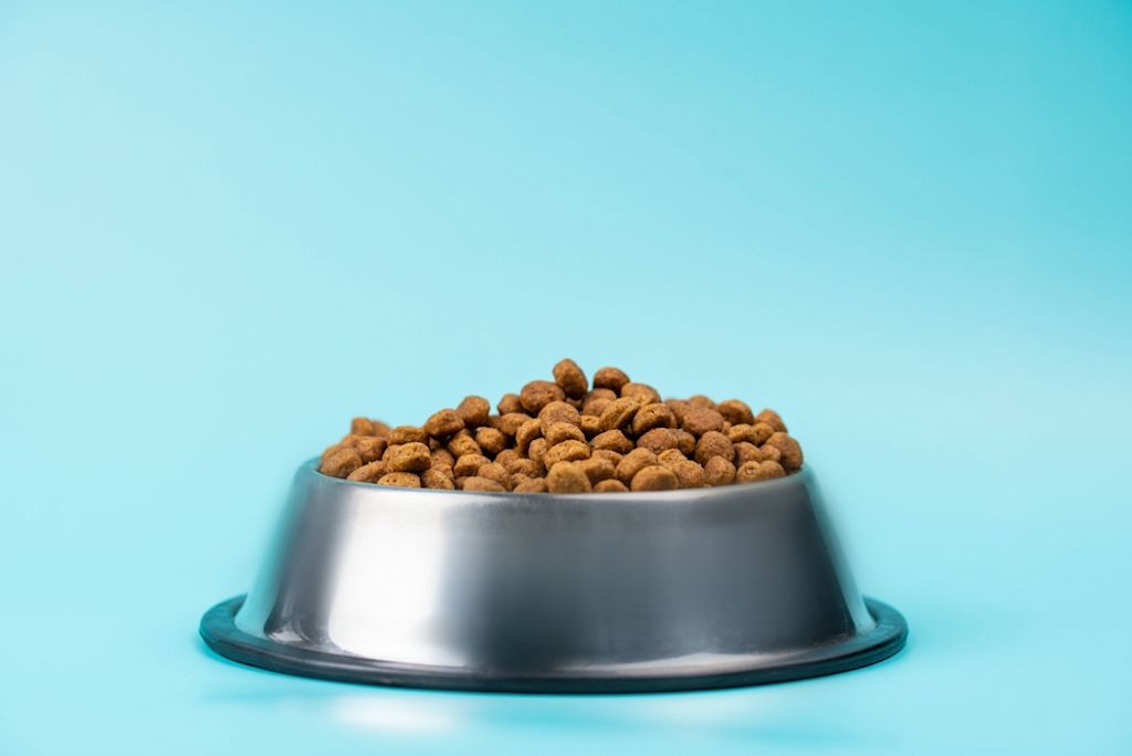 Kattenvoer in een bakje