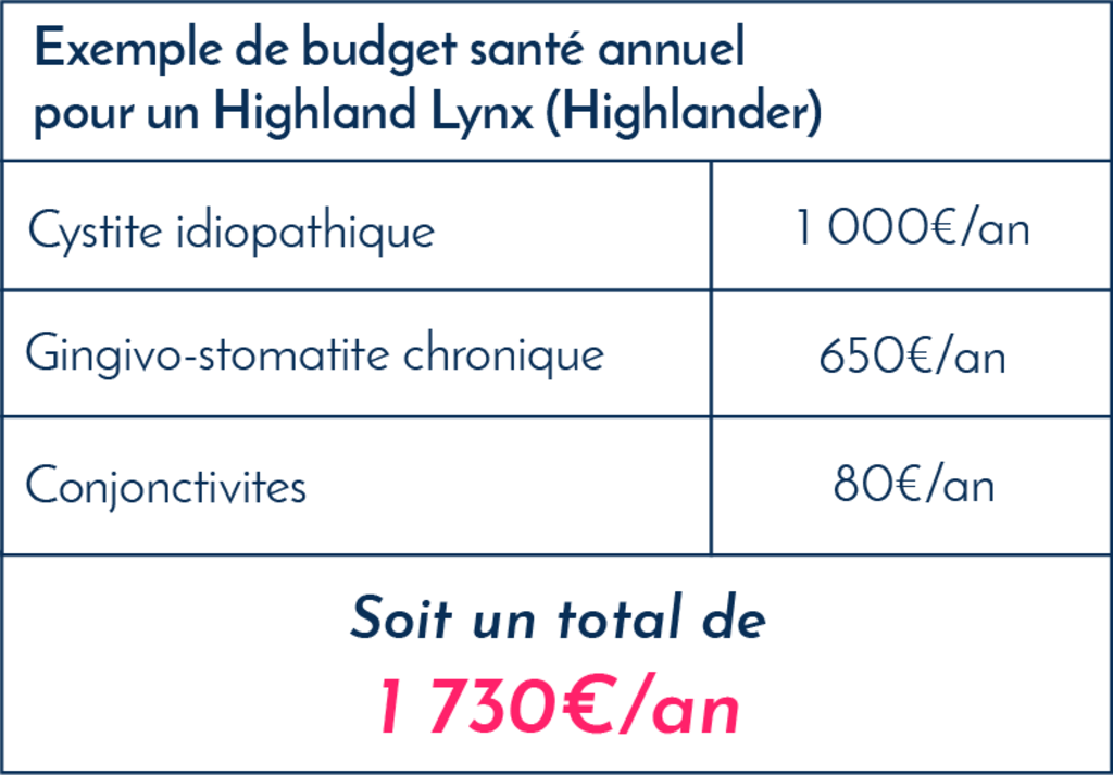 Highland_Lynx_Highlander_montant_frais_veterinaires