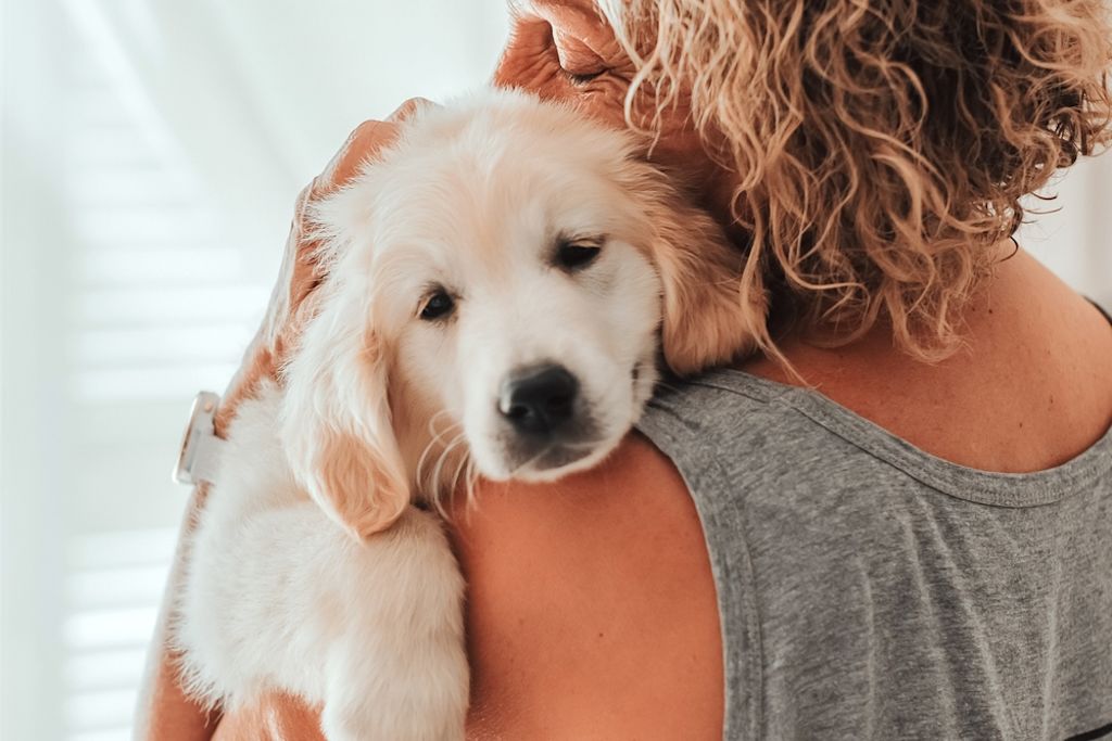 Vrouw knuffelt een hond in zonlicht