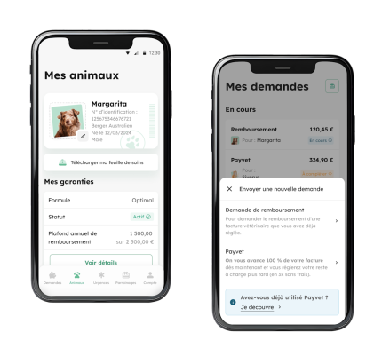 SV FR Mock Up Smartphone Application