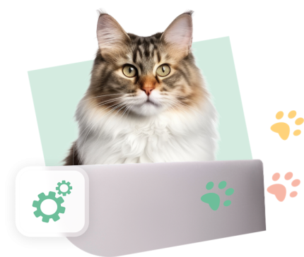 CCM Visual Green Cat