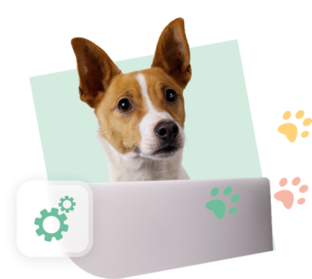 CCM Visual Green Dog