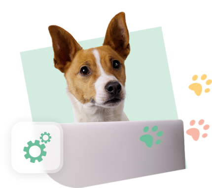 CCM Visual Green Dog