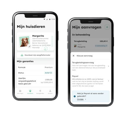 SV BE FL Mock Up Smartphone Application