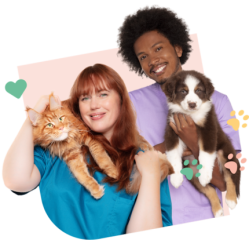 WomanCat Visual Green