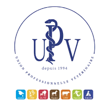 Logo Upv Be