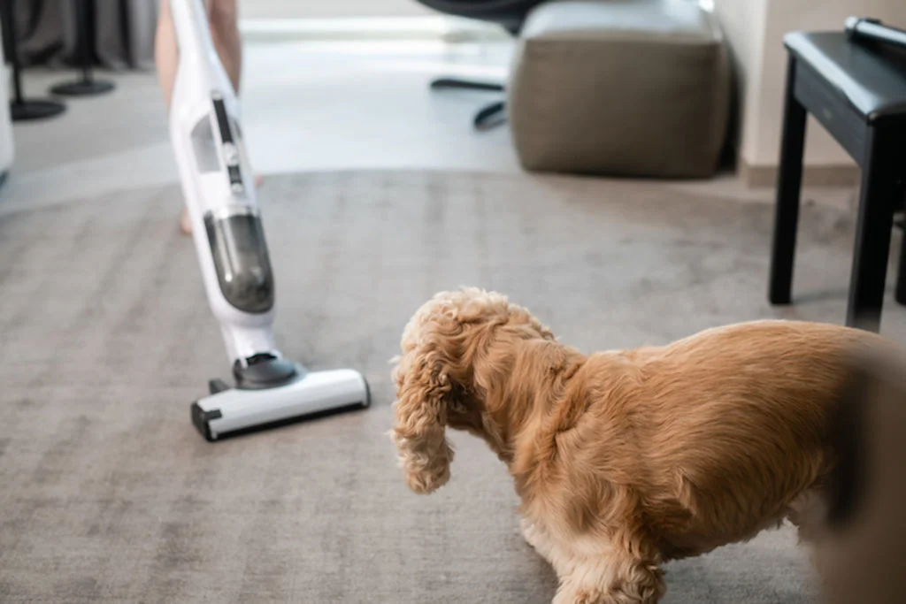 Hond bij stofzuiger 