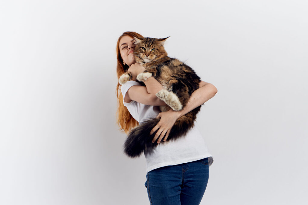 L&rsquo;hyper attachement chez le chat