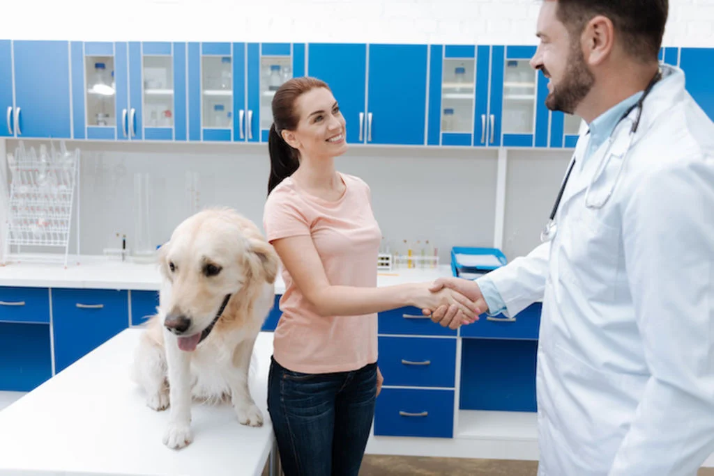 Hondeigenaar geeft dierenarts een hand